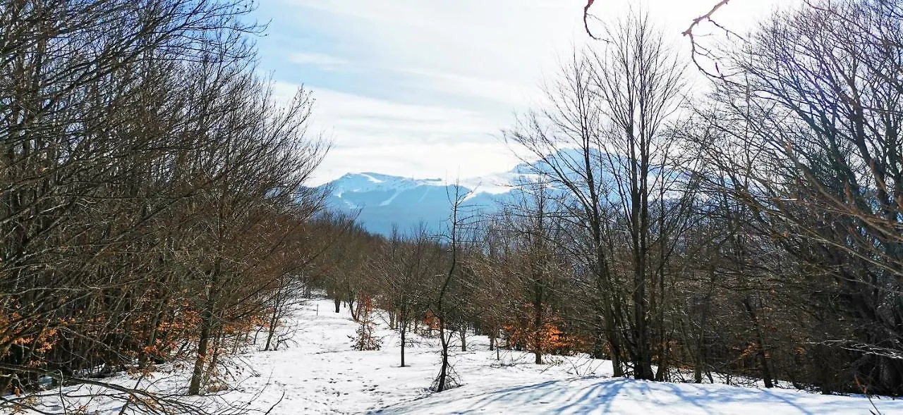 GranChalet sul Cimone I love Montecreto 103 Aparthotel